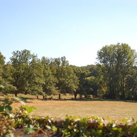 Villa Gite du Vieux Charme à Saint-Amand-en-Puisaye Extérieur photo