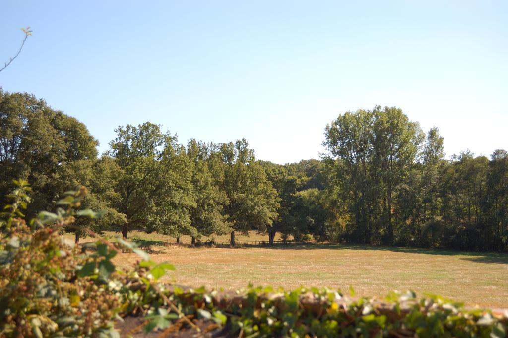 Villa Gite du Vieux Charme à Saint-Amand-en-Puisaye Extérieur photo